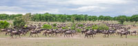 Tanzania 2012